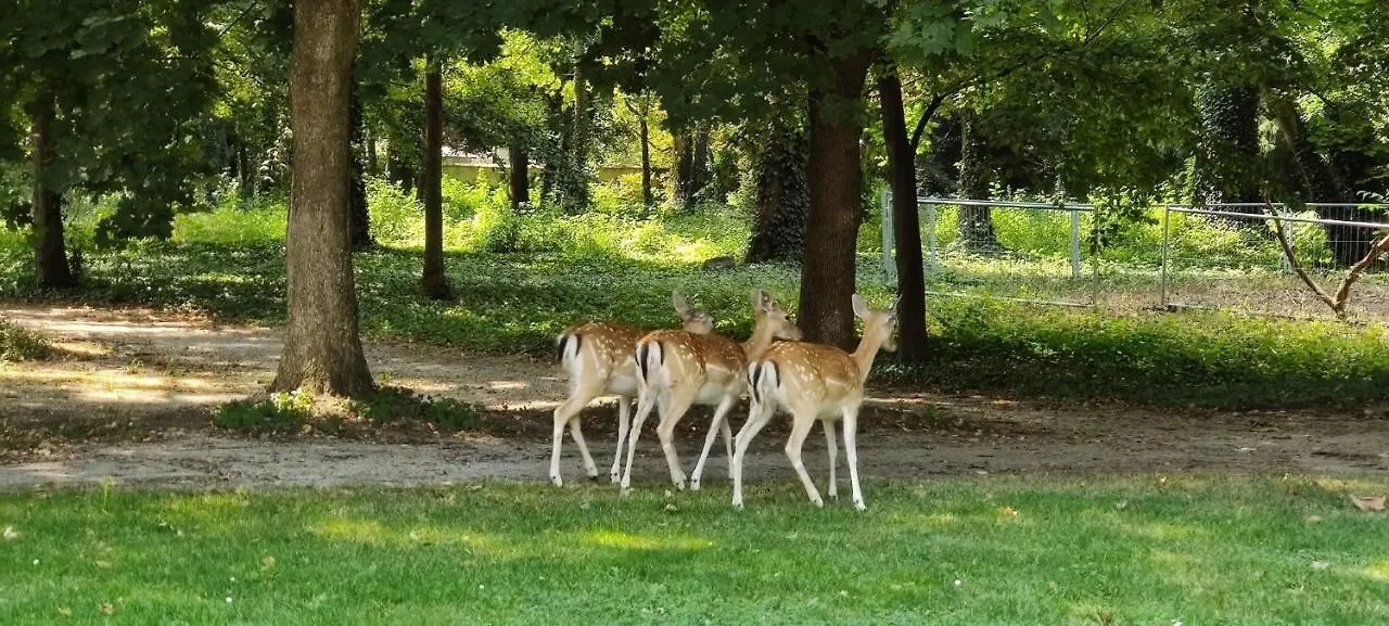 Gartenhotel Altmannsdorf Βιέννη